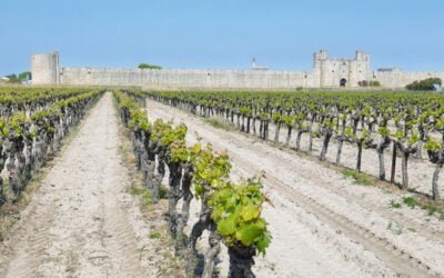 TOP 10 des villes du Gard où il fait bon vivre