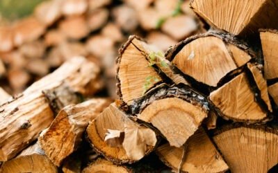 Top 5 des vendeurs de bois de chauffage près de Nîmes 🔥🪵