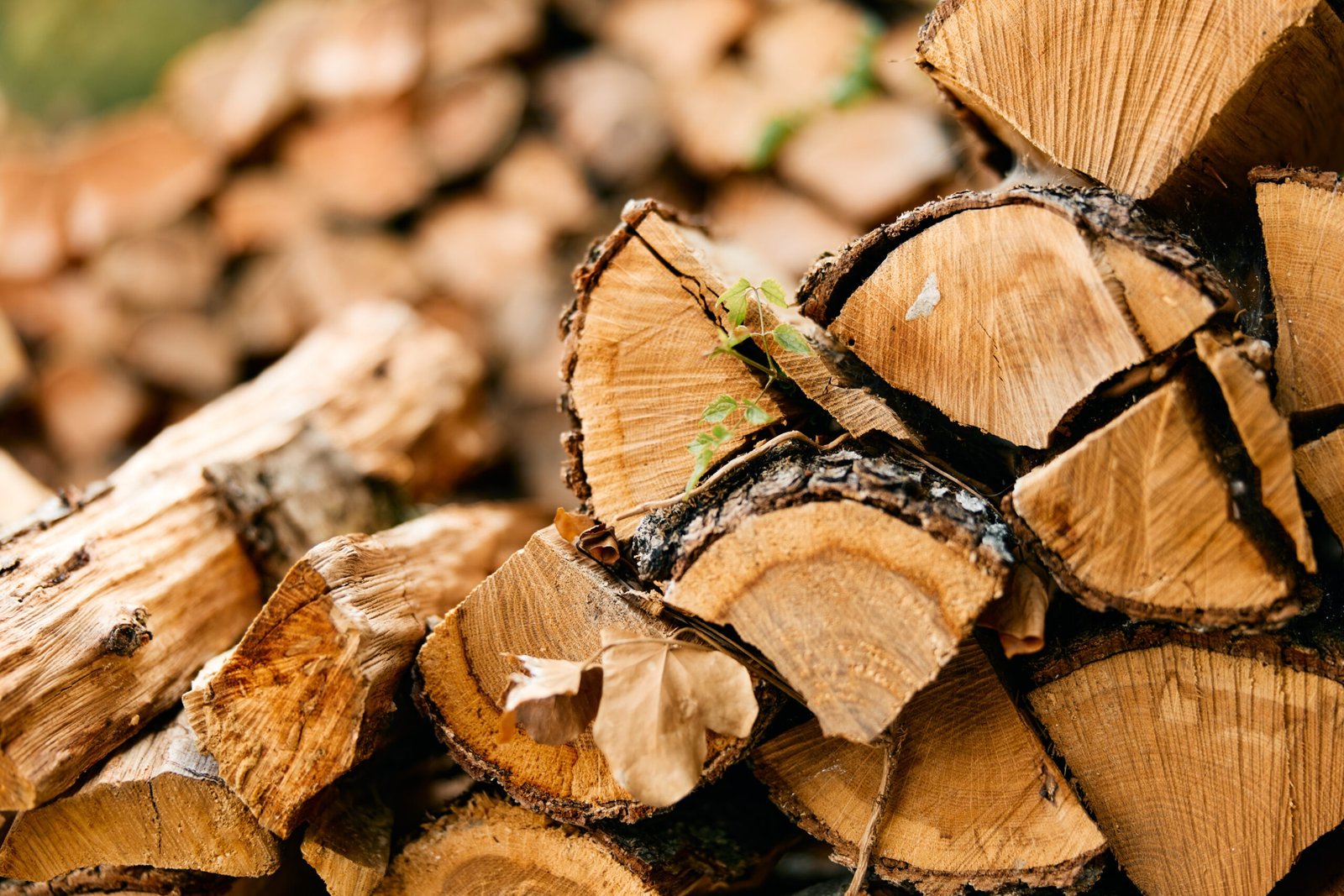 Rustic wood logs pile against lush green foliage in natural outdoor setting