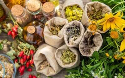 🌿 Top 5 des meilleures herboristeries à Nîmes et dans le Gard (2026)