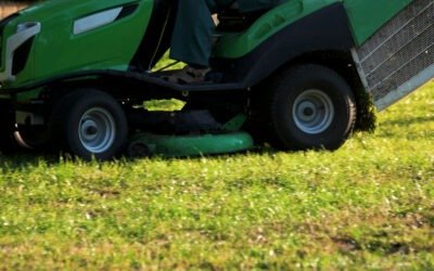 Top 5 des entreprises d’entretien d’espaces verts dans le Gard 🌳