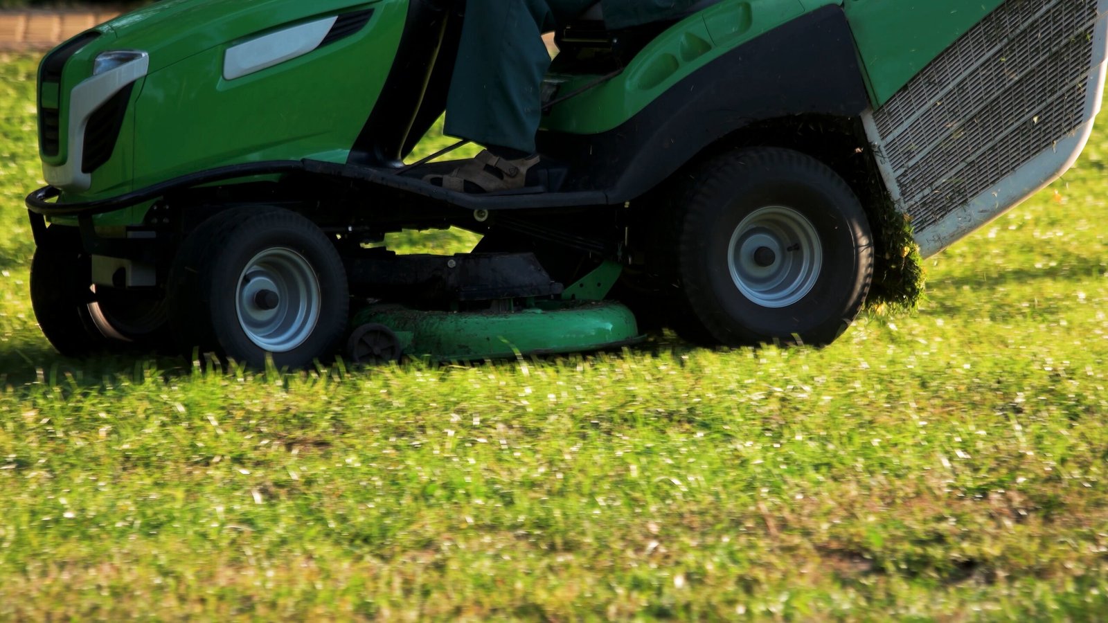 Green lawn mower cutting grass close up.