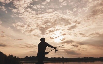 🎣 Top des meilleurs spots de pêche en Camargue
